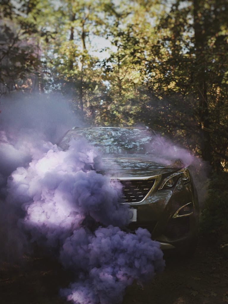 Vendre mon véhicule à Limoges 3 mandataire automobile limoges achat vente recherche personnalisée import véhicule allemagne limoges gratuit Car in a misty forest enveloped by dramatic purple smoke, creating a mysterious travel scene.